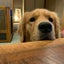 itobaのサムネイル