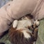 ナラ本舗のサムネイル