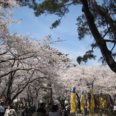 桜もち食べ三郎のプロフィール