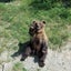 おぷちのサムネイル
