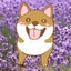 ぽちママのサムネイル