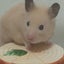 カッチンのサムネイル