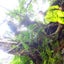rie201118のサムネイル