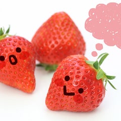 英会話教室 Strawberry Fields【ストロベリーフィールズ】のプロフィール