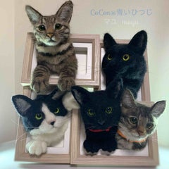 青いひつじのプロフィール