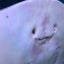 ganymedesのサムネイル