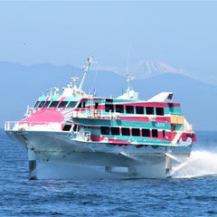 東海汽船添乗員のプロフィール