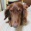 romiのサムネイル