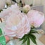 love_lotusのサムネイル