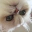 mizumo_777のサムネイル