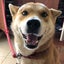 まえだのサムネイル