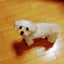 ketonecancerのサムネイル