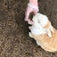 にこちゃん🙂のサムネイル