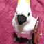 ranのサムネイル