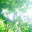 画像 Mana Forest  ~今を生きる~のユーザープロフィール画像