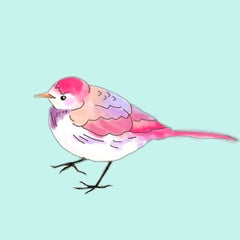 スミノのプロフィール