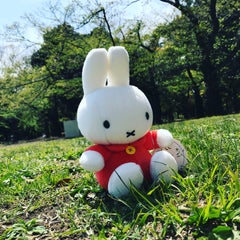 olifantのプロフィール