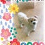 みーのサムネイル