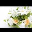 nameneko1のサムネイル