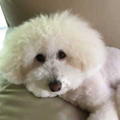 喜多のプロフィール