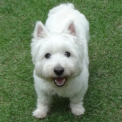 titi-astiのプロフィール