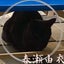 春瀬由衣のサムネイル