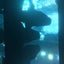 あめまんのサムネイル