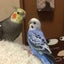 はとぽっぽのサムネイル