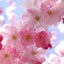 38tamのサムネイル