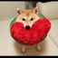 ちきのサムネイル