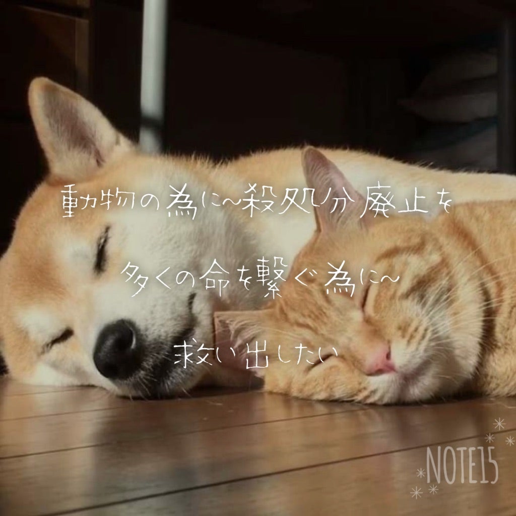 お願いします神様助けて tomosaki0714のブログ
