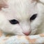 ち。のサムネイル