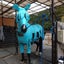 dian2009のサムネイル