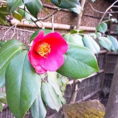おどりであそぼう😊のプロフィール