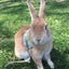 ひろっぺのサムネイル