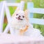 ハートママのサムネイル