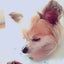shizukunのサムネイル