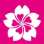 画像 桜にほんご　日本語教師のお仕事（中国　日本語学校 　日本語教師求人情報）のユーザープロフィール画像