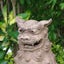 もみの木ママのサムネイル