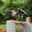 oshinuma369のサムネイル