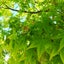 keny0224のサムネイル
