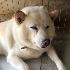 Ddrダイエット開始します 高々ゆうの徒然日記 Ddrダイエット開始します 高々ゆうの徒然日記