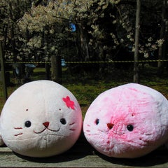 えりかのプロフィール