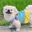 画像 ＥＭＩと愛犬ＨＡＮＡの食いしん坊ブログ♡ペキニーズのユーザープロフィール画像