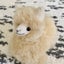 alpaca7-2020のサムネイル