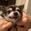ふーちゃんのサムネイル