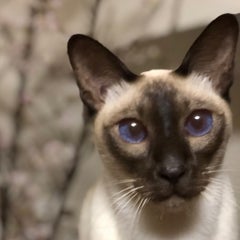 lunpa3のプロフィール