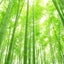 抜毛症と自毛植毛&HSPな私のサムネイル