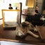 マオのサムネイル