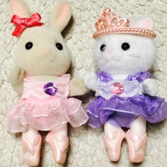 Swan lakeのプロフィール